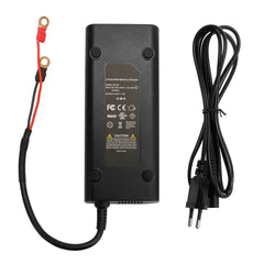 lifepo4 charger